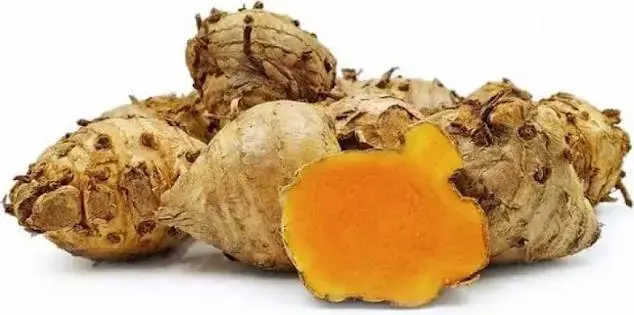 Rizom kunyit
